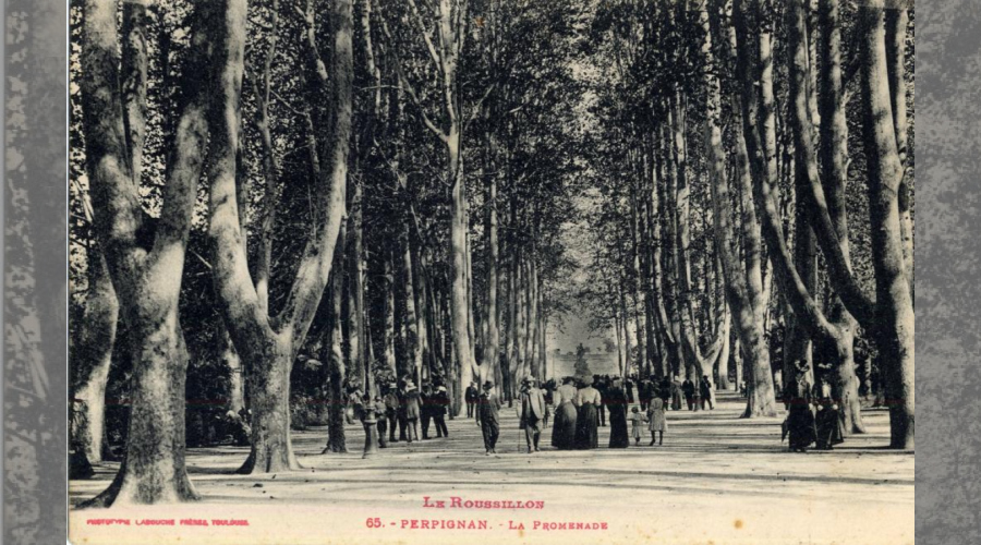 large allée avec des grands platanes , des gens en habit se promenant, une fontaine avec Bacchus au centre