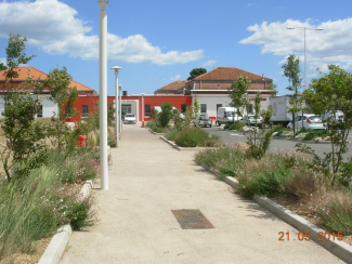 Végétalisation des jardinières