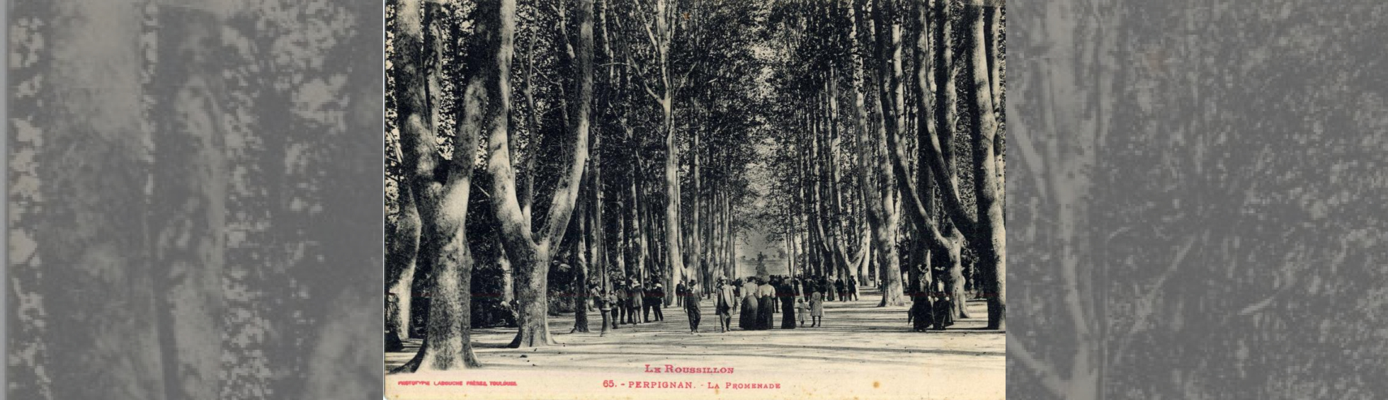 large allée avec des grands platanes , des gens en habit se promenant, une fontaine avec Bacchus au centre