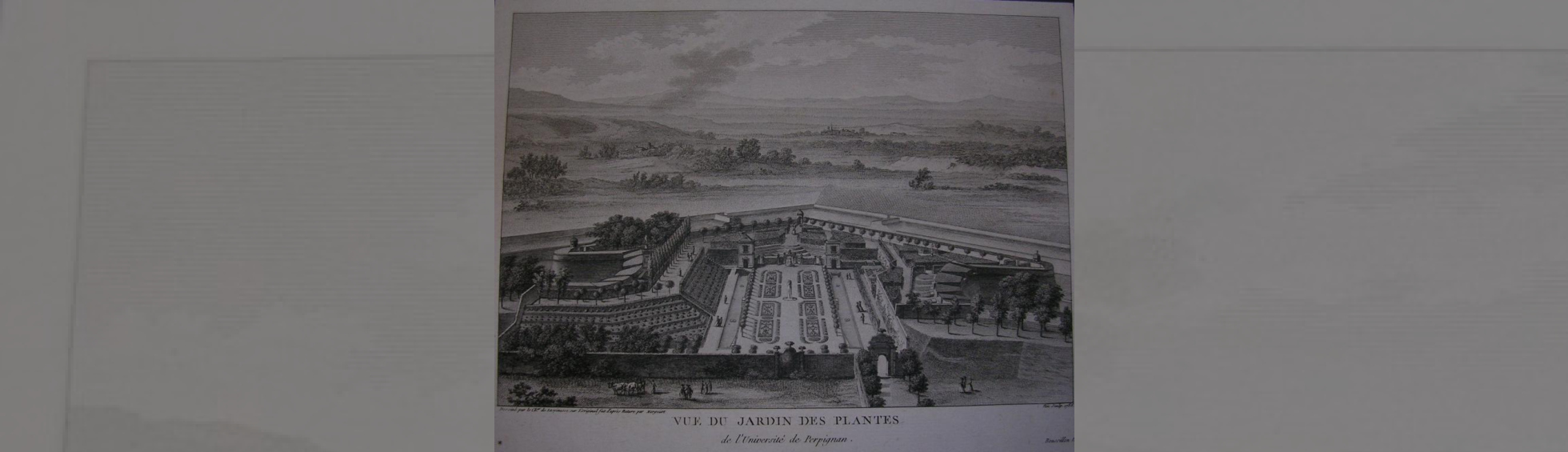 Gravure du jardin des plantes aménagé dans un bastion