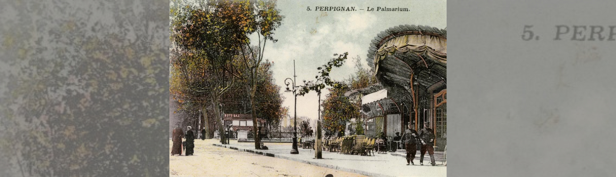 Le palmarium