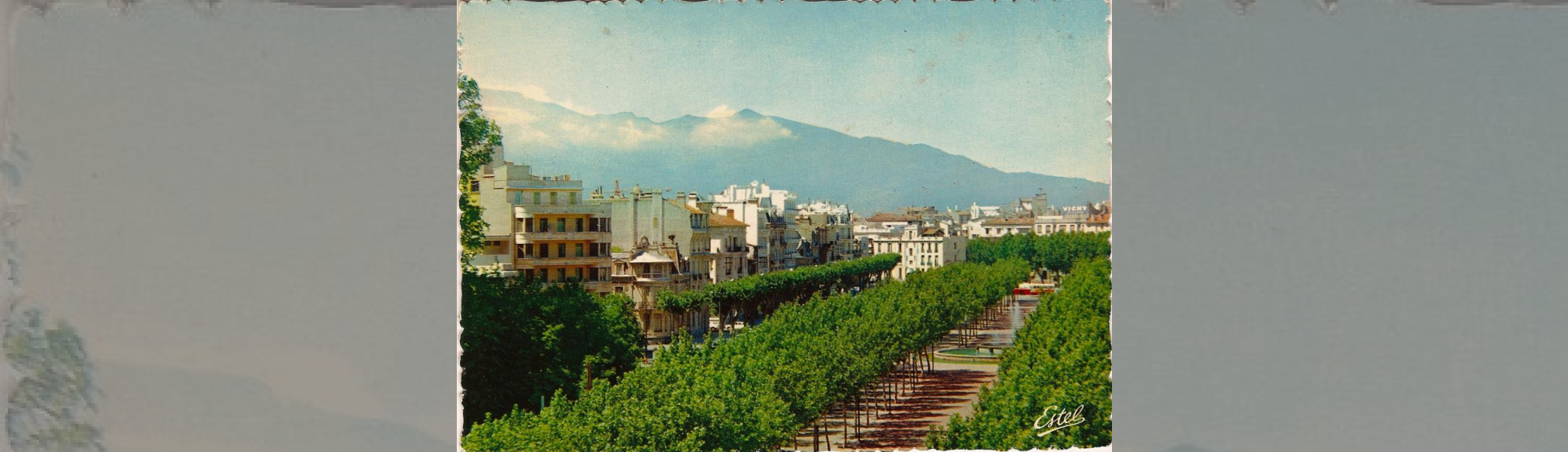 Promenade des platanes après remplacement des platanes en 1955