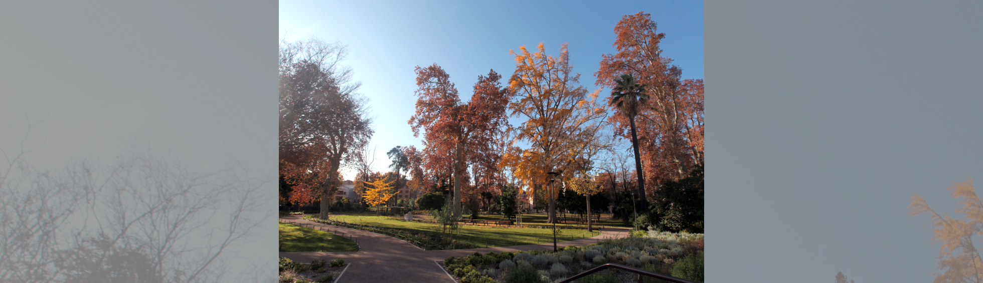 Square en automne