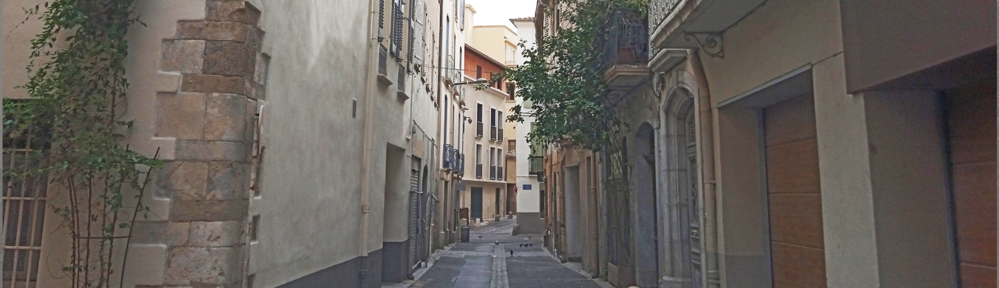 Quartier La Réal de Perpignan